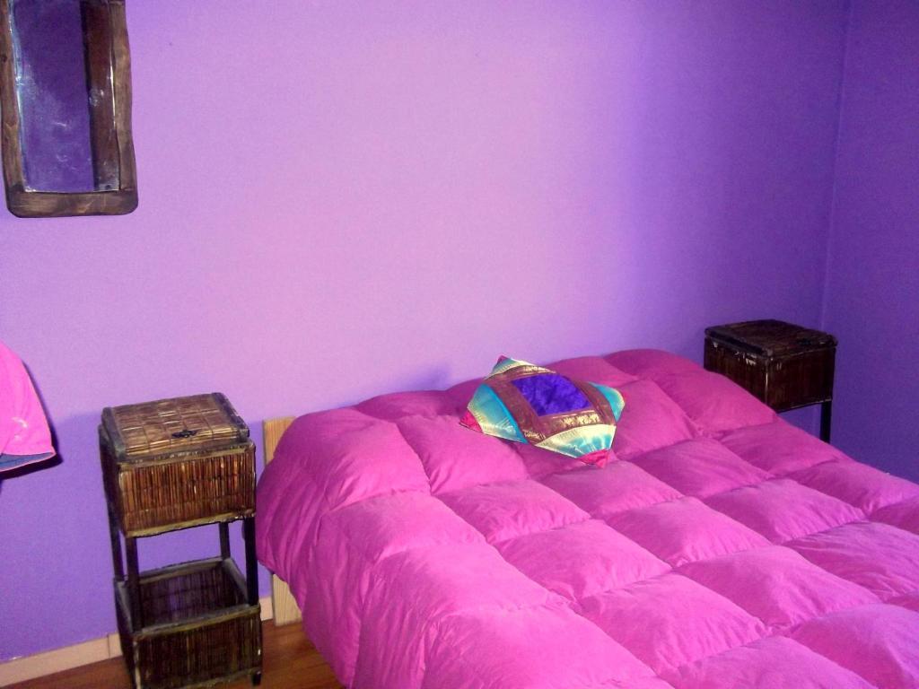 Hostel Cabanas Pehuenia El Bolsón Pokoj fotografie